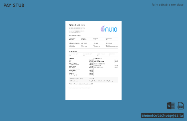 NU10 Technologies India Gehaltsabrechnungsbeispiel (Vorschau)